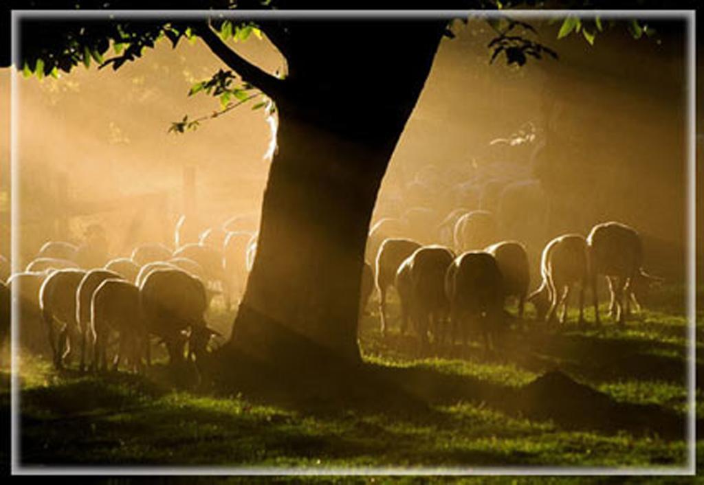 Chambres D'Hotes Lou-Rey Le Collet-de-Deze ภายนอก รูปภาพ